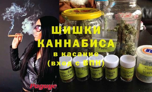 крисы Осинники