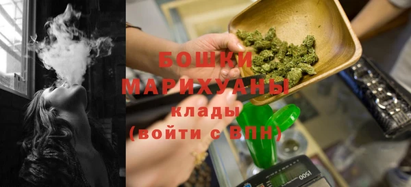 крисы Осинники