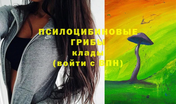 крисы Осинники