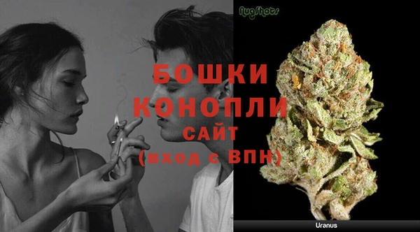крисы Осинники
