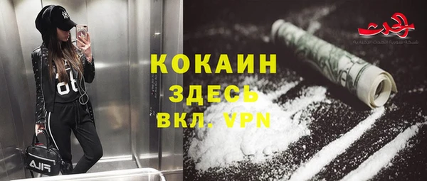 крисы Осинники