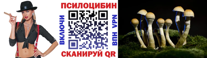 дарнет шоп  Протвино  mega онион  Галлюциногенные грибы Cubensis 