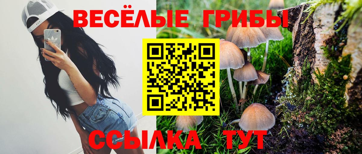 где купить наркотик  Псилоцибиновые грибы мицелий  Вход с VPN  Протвино  Псилоцибиновые грибы мухоморы 