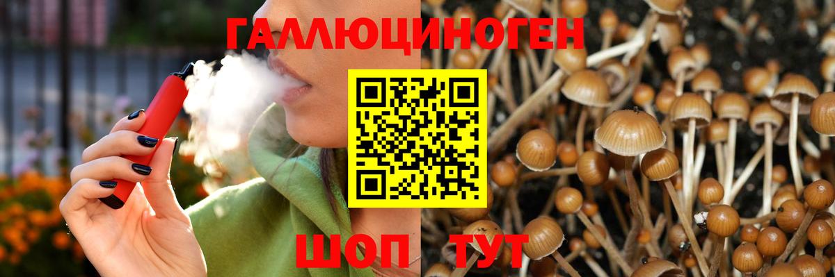 Протвино  Меф  Бошки Шишки  Кодеин  Кокаин  АМФЕТАМИН кристаллы  Вход с VPN  Гашиш  Меф МЯУ МЯУ кристаллы  КЕТАМИН 