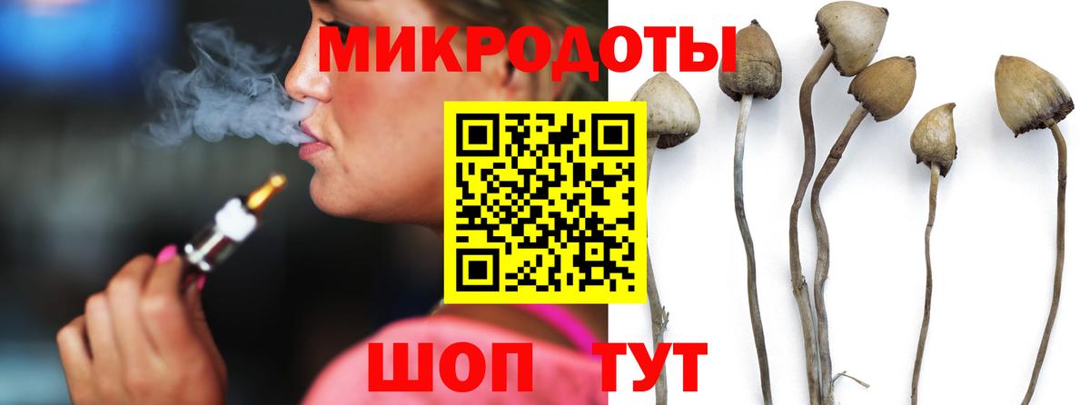 Псилоцибиновые грибы GOLDEN TEACHER Протвино